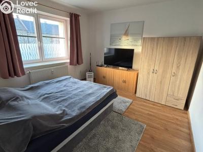 Pronájem bytu 1+1 Slatinice č. 4