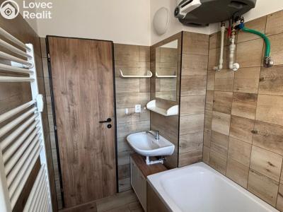 Pronájem bytu 1+1 Slatinice č. 5