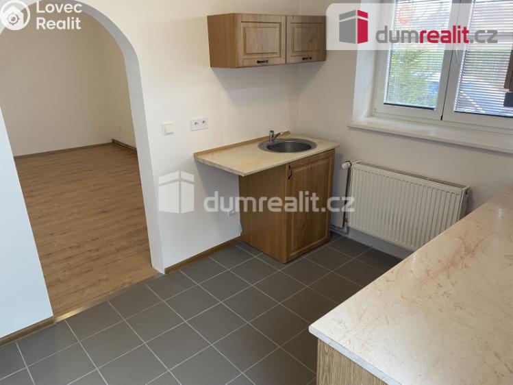 Pronájem bytu 1+1 Břeclav, Školní č. 1