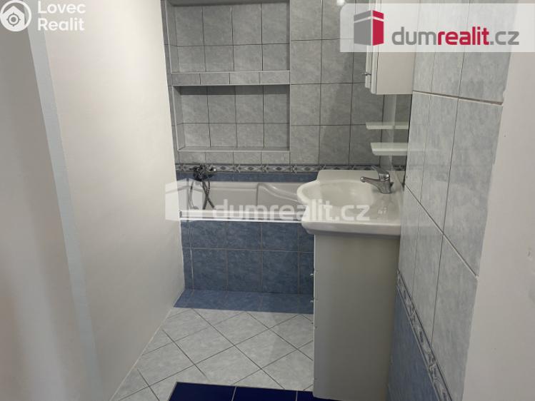 Pronájem bytu 1+1 Břeclav, Školní č. 5