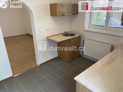 Pronájem bytu 1+1 Břeclav, Školní č. 1