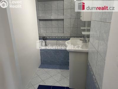 Pronájem bytu 1+1 Břeclav, Školní č. 5