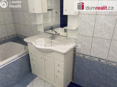 Pronájem bytu 1+1 Břeclav, Školní č. 6