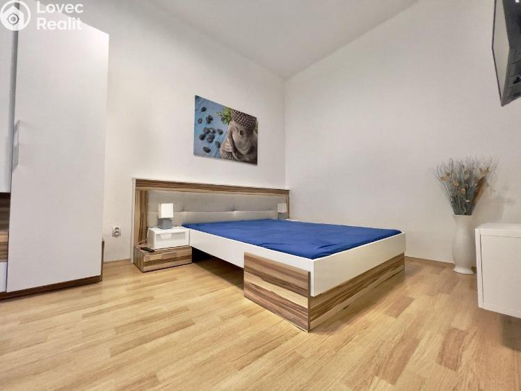Rent apartment 2+1 Praha, Sudoměřská 1650/31 č. 4