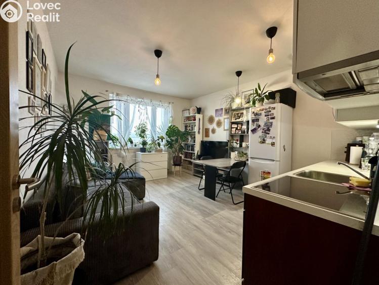 Rent apartment 2+KK Brno, Říčanská 1000/29 č. 3