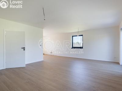 Продажа семейного дома Benešov č. 4