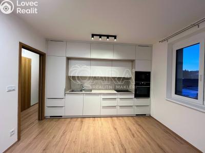 Pronájem bytu 2+KK Liberec, Tovární č. 4