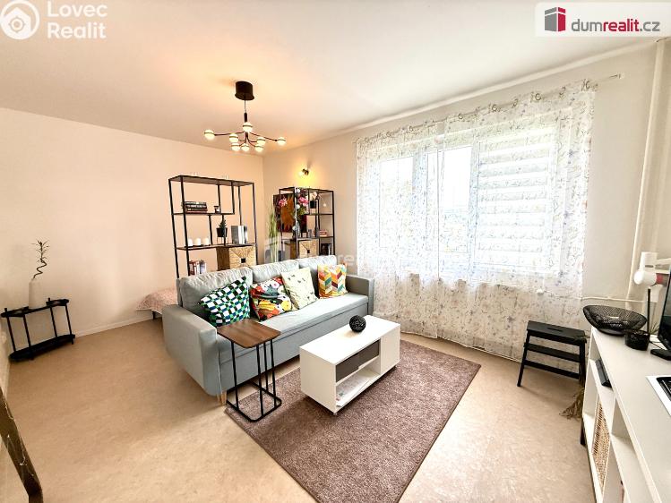 Pronájem bytu 1+1 Kralupy nad Vltavou, Štefánikova č. 6