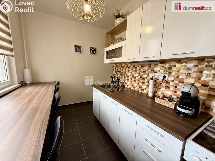 Pronájem bytu 1+1 Kralupy nad Vltavou, Štefánikova č. 11