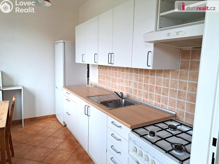 Pronájem bytu 1+1 Ústí nad Labem, Růžový palouček č. 2