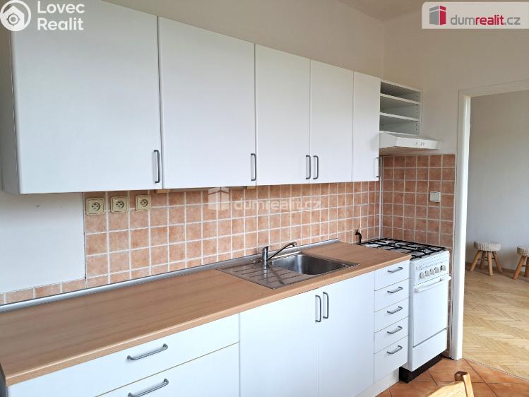 Pronájem bytu 1+1 Ústí nad Labem, Růžový palouček č. 3