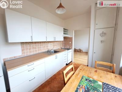 Pronájem bytu 1+1 Ústí nad Labem, Růžový palouček č. 4