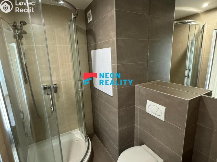 Pronájem bytu 2+1 Ostrava, Vršovců č. 10