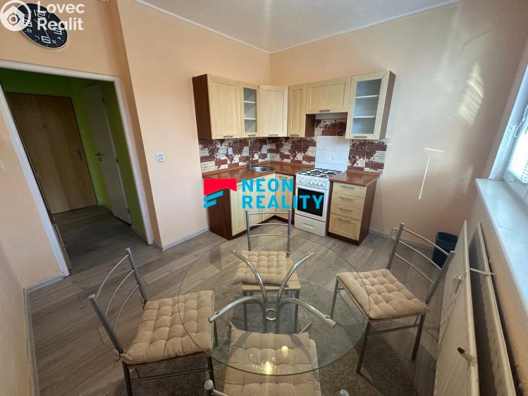 Rent apartment 1+1 Orlová, Lesní č. 1