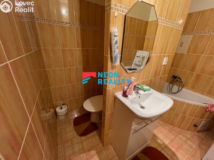 Rent apartment 1+1 Orlová, Lesní č. 7