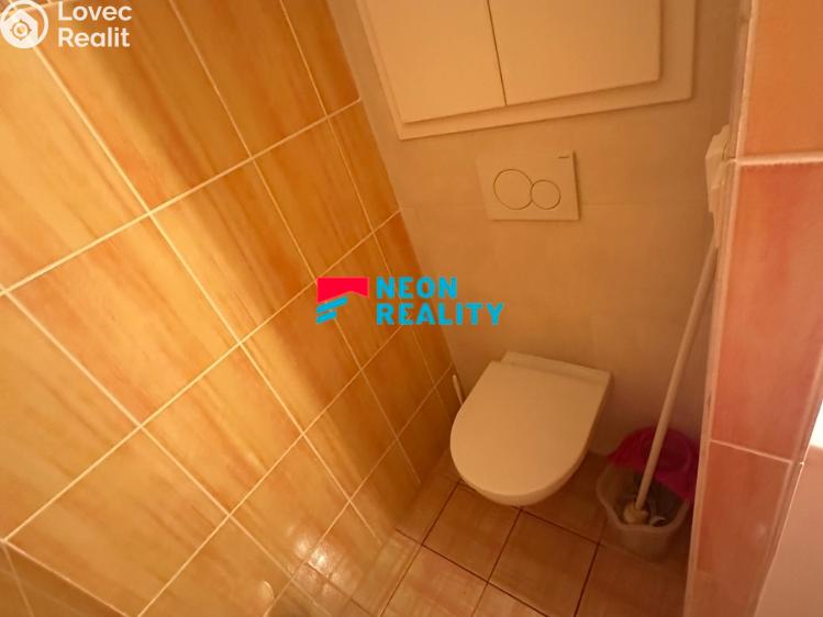 Rent apartment 1+1 Orlová, Lesní č. 8