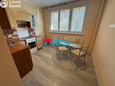 Pronájem bytu 1+1 Orlová, Lesní č. 3