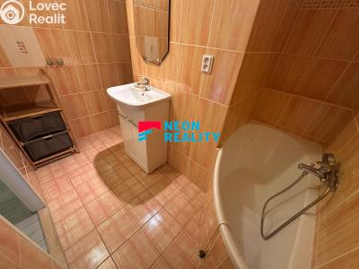 Pronájem bytu 1+1 Orlová, Lesní č. 4