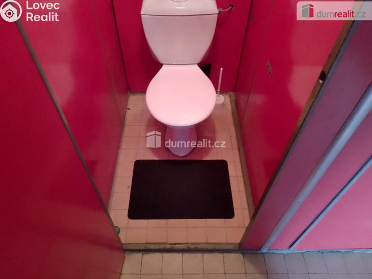 Pronájem bytu 2+1 Karlovy Vary, Přátelství č. 17