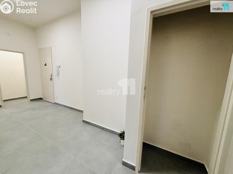 Pronájem bytu 3+KK Praha 3, Biskupcova č. 8