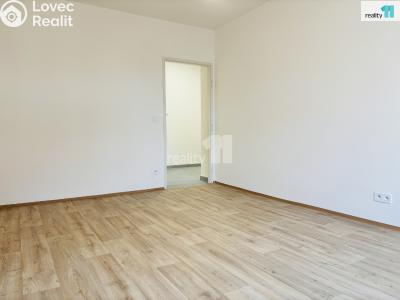 Pronájem bytu 3+KK Praha 3, Biskupcova č. 4