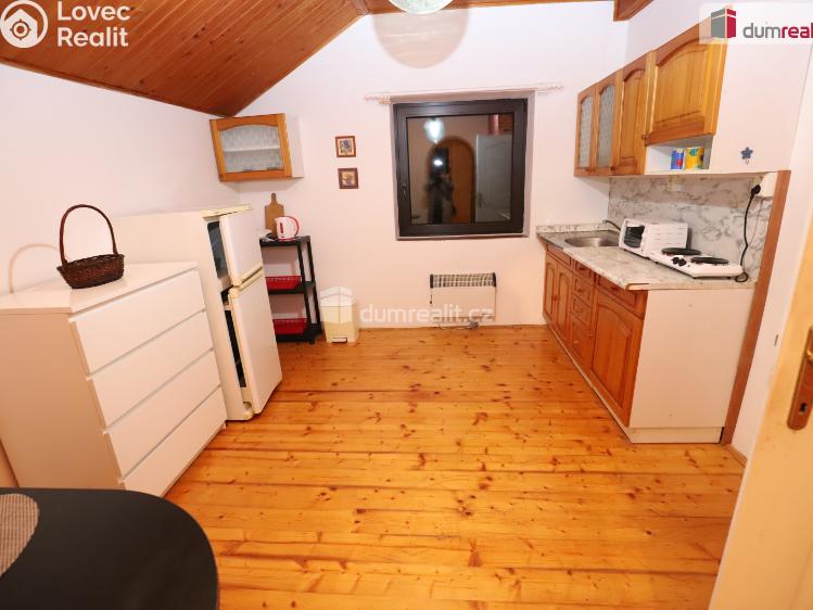 Pronájem bytu 1+1 Karlovy Vary, K Letišti č. 4