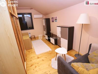 Pronájem bytu 1+1 Karlovy Vary, K Letišti č. 3