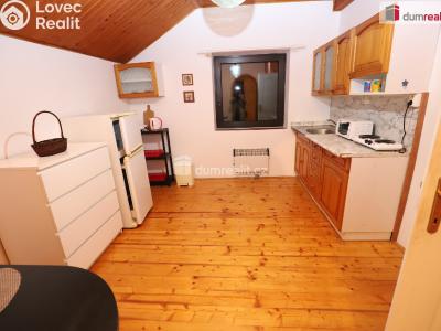 Pronájem bytu 1+1 Karlovy Vary, K Letišti č. 4