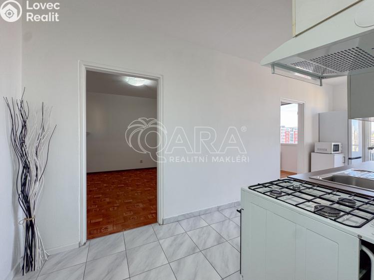 Pronájem bytu 2+1 České Budějovice, K. Šafáře 875/67 č. 9