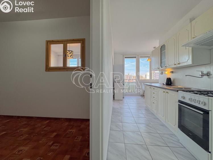 Pronájem bytu 2+1 České Budějovice, K. Šafáře 875/67 č. 10