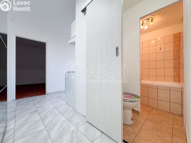 Pronájem bytu 2+1 České Budějovice, K. Šafáře 875/67 č. 12