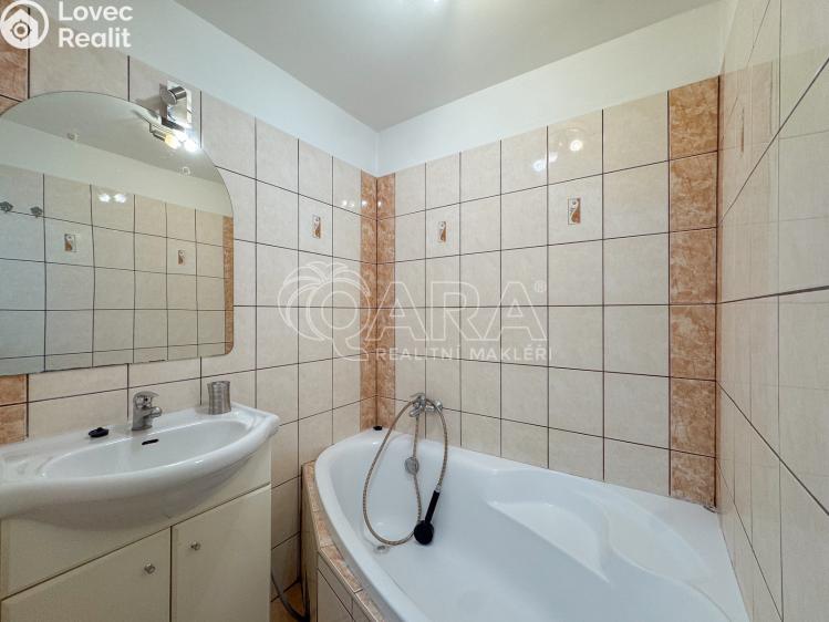 Pronájem bytu 2+1 České Budějovice, K. Šafáře 875/67 č. 13