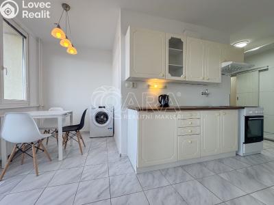 Pronájem bytu 2+1 České Budějovice, K. Šafáře č. 3