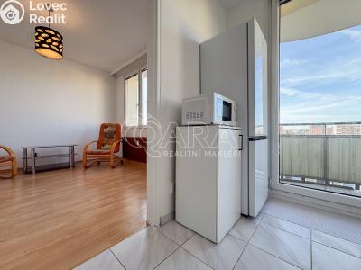 Pronájem bytu 2+1 České Budějovice, K. Šafáře č. 5