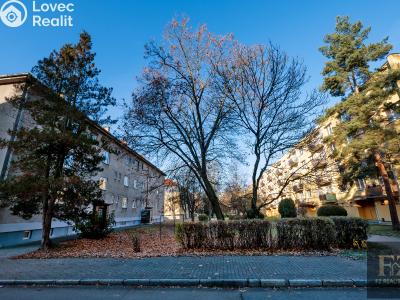 Prodej bytu 2+1 České Budějovice, Čéčova č. 2