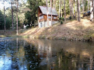 Sale hut Vrábče č. 3