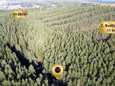 Продажа хижины Vrábče č. 37