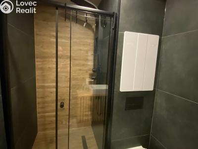 Pronájem bytu 2+1 Karviná, Haškova č. 5