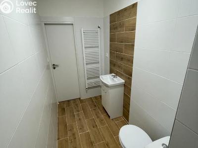 Pronájem bytu 1+1 Opava, Polní č. 4