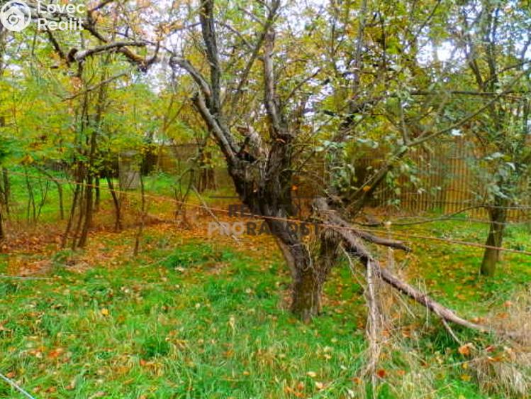 Prodej rodinného domu Krhovice č. 4