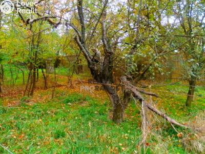 Prodej rodinného domu Krhovice č. 4