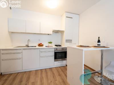 Продаж квартири 2+KK Praha, U kněžské louky č. 1