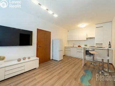 Prodej bytu 2+KK Praha, U kněžské louky č. 1