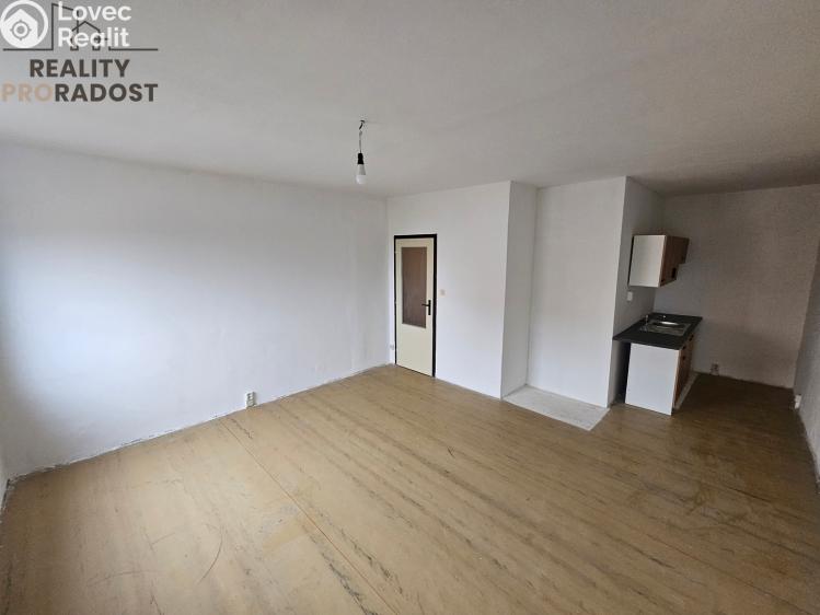 Pronájem bytu 1+KK Teplice, Krušnohorská č. 2