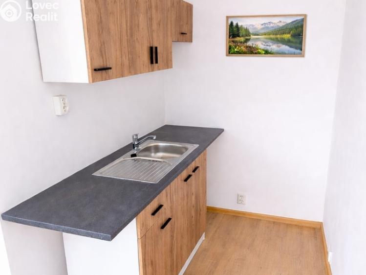 Rent apartment 1+KK Teplice, Krušnohorská č. 3