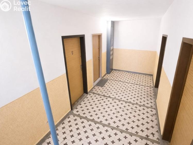 Rent apartment 1+KK Teplice, Krušnohorská č. 7