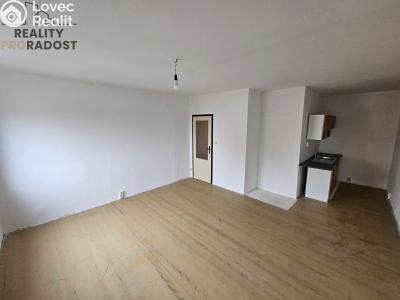 Pronájem bytu 1+KK Teplice, Krušnohorská č. 2