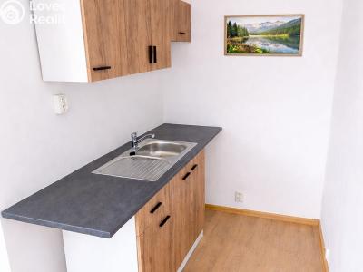 Rent apartment 1+KK Teplice, Krušnohorská č. 3