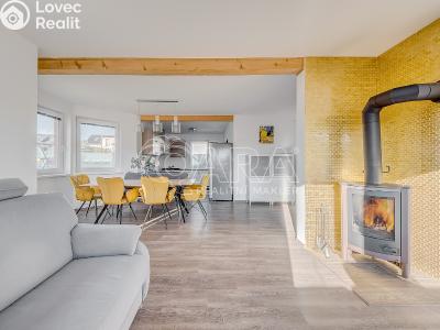 Продаж сімейного будинку Nová Ves pod Pleší, Světlá 461 č. 5