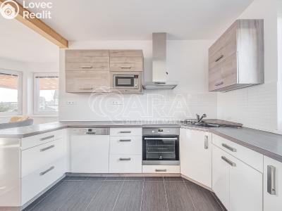 Продаж сімейного будинку Nová Ves pod Pleší, Světlá 461 č. 6